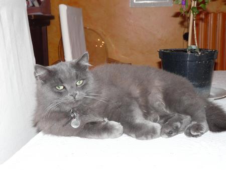 BLUE BLUE SE LA COULE DOUCE