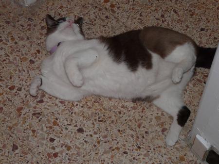 SPECIALE DEDICACE pour ANNE MARIE