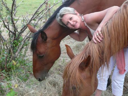 Floflo et les chevaux