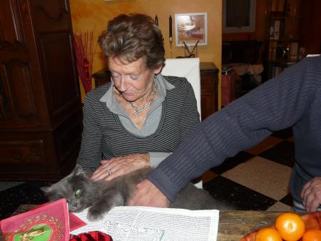 BLUEBLUE FAIT PARTIE DE LA FETE